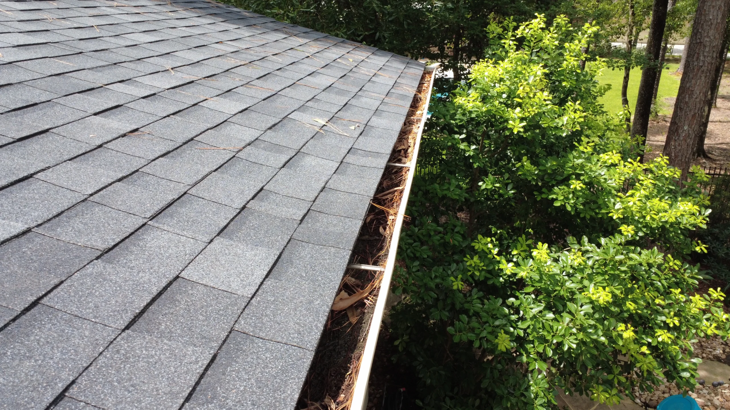 Clogged Gutter Before