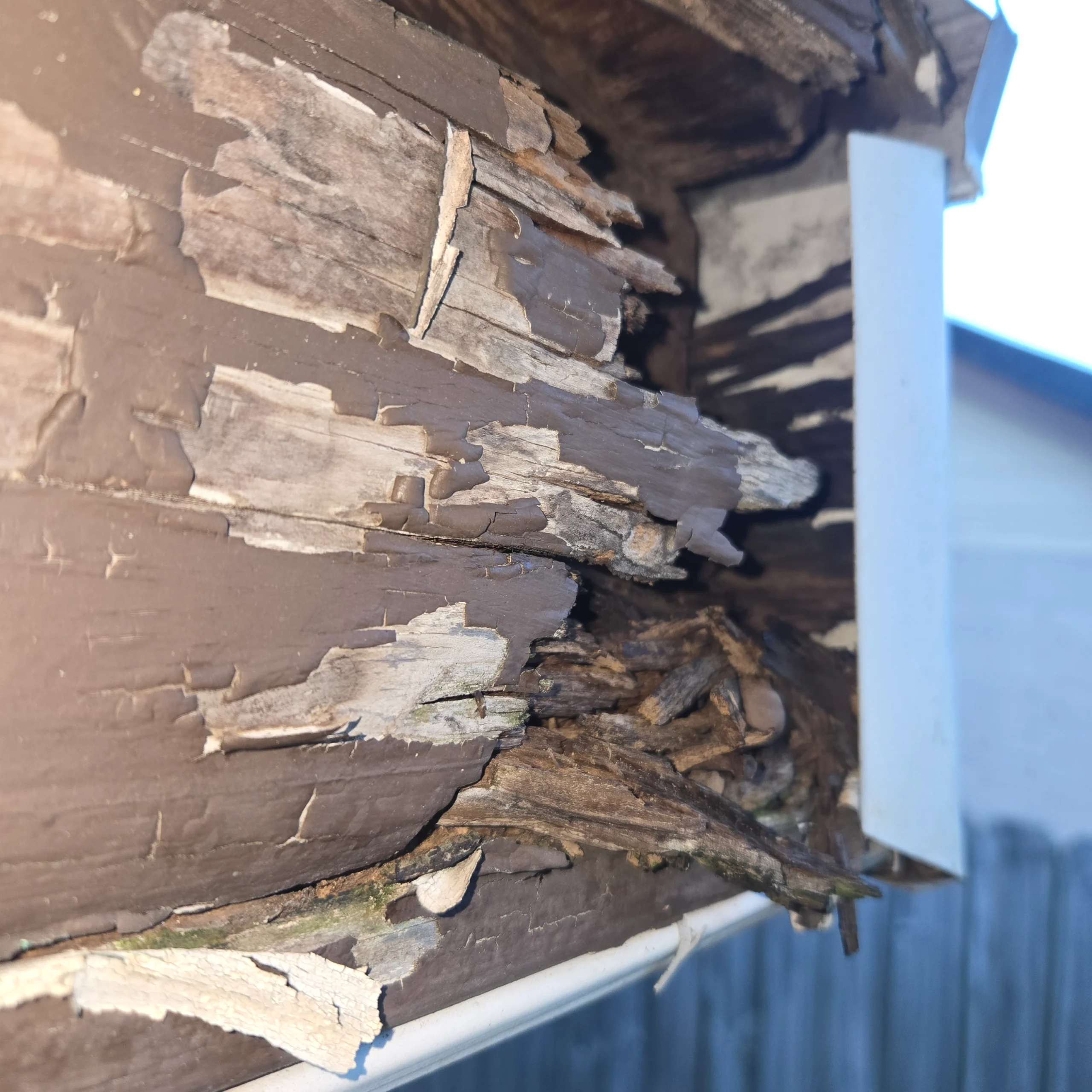 Exterior Repairs
