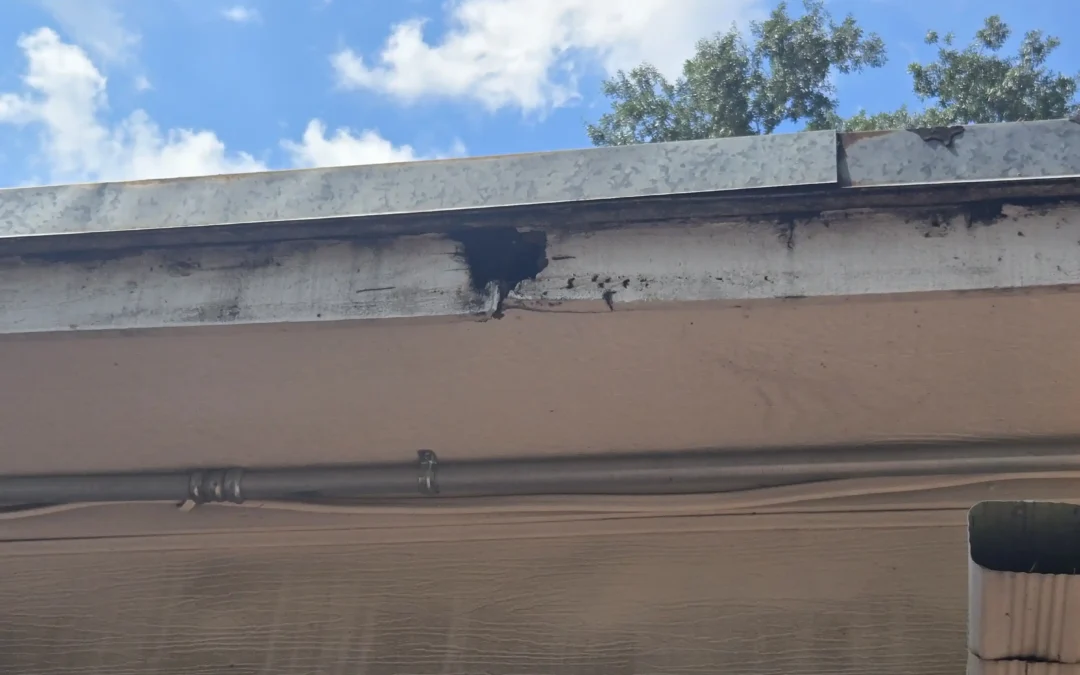 Signs of Rotting Fascia in Greater Houston: When to Repair or Replace It