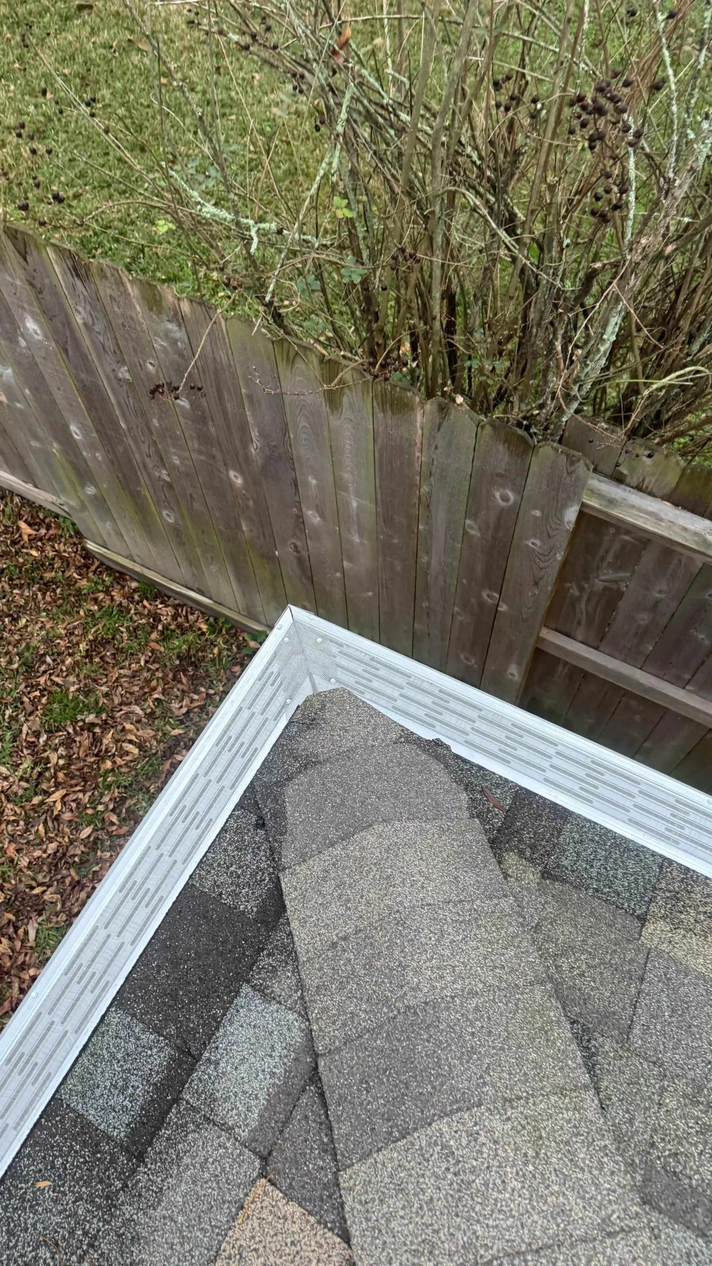 Project Photo 21