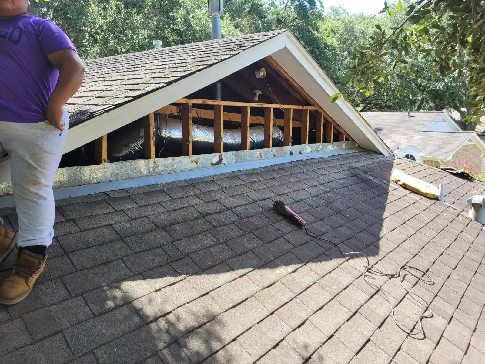 Project Photo 13